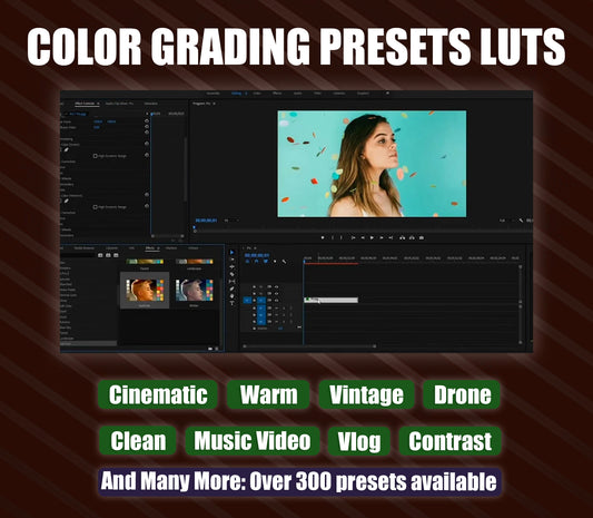 300 + Color Grading Presets LUTS